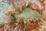 Pastel Colored, Arizona Petrified Wood Round - Agate Core #106310-1